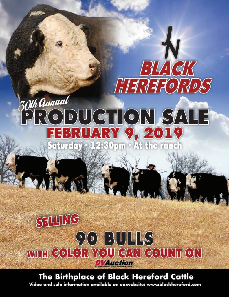 J&N Ranch - 2019 Spring Bull Sale