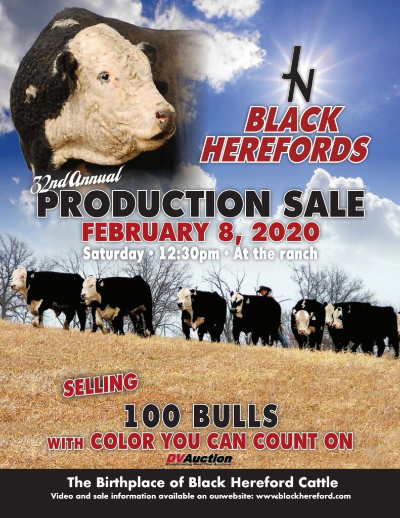 J&N Ranch - 2020 Spring Bull Sale