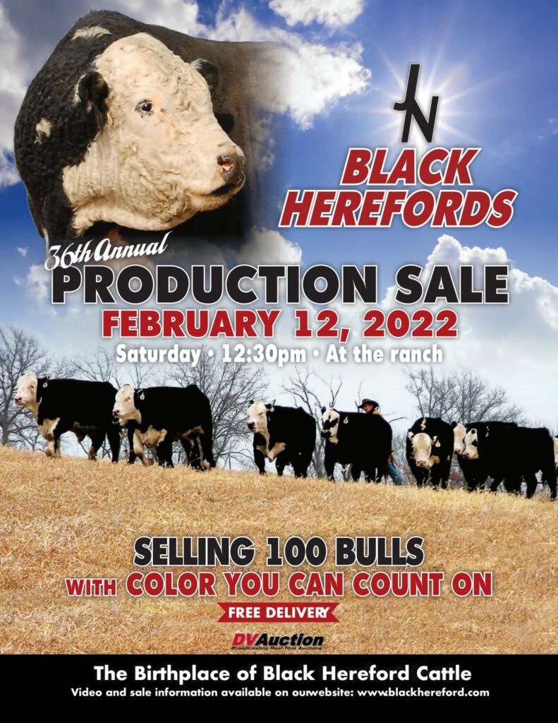 J&N Ranch - 2022 Spring Bull Sale