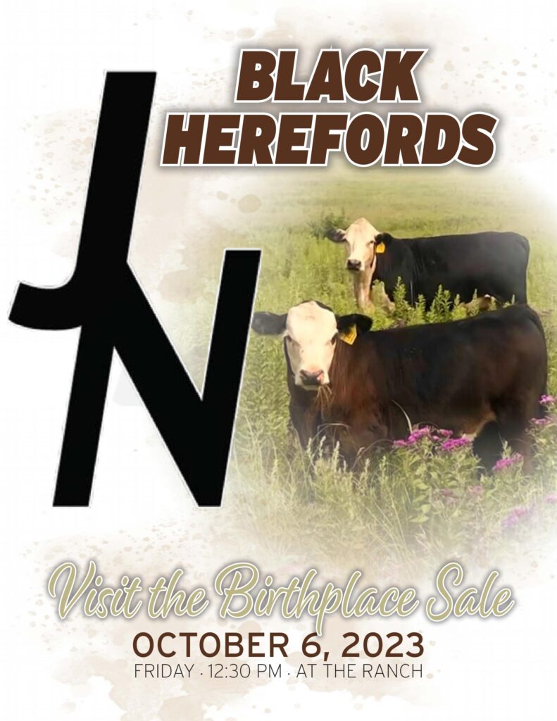 J&N Ranch - 2023 Fall Sale