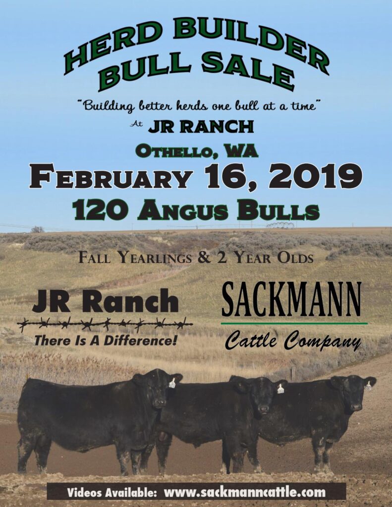 JR Ranch - 2019 Herd Builder Bull Sale