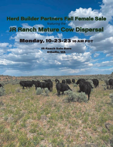 JR Ranch - 2023 Herd Builder Partners Fall Female Sale