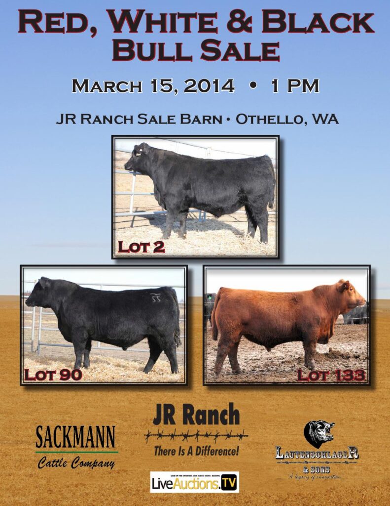 JR Ranch - Red, White and Black Bull Sale