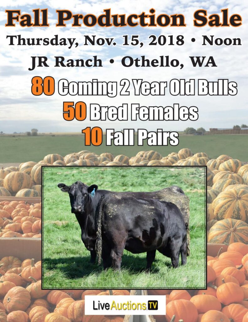 JR Ranch / Sackmann Cattle Co - 2018 Fall Production Sale