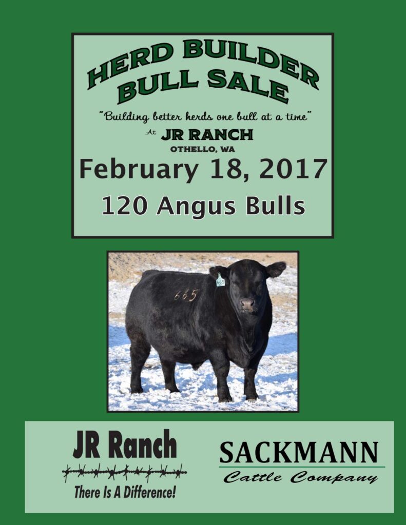 JR Ranch/Sackmann Cattle Co - 2017 Herd Builder Bull Sale