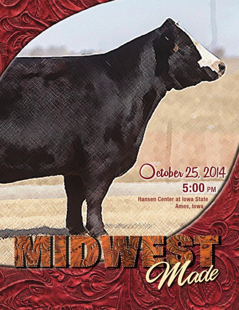 JS Simmentals - 2014 Midwest Made Production Sale