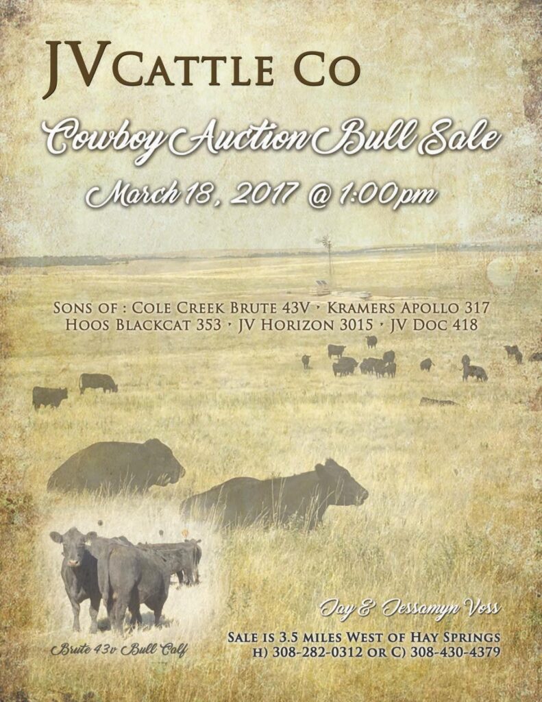 JV Cattle Company - 2017 Cowboy Auction Bull Sale