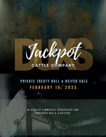 Jackpot Cattle Company - 2023 Spring Sale
