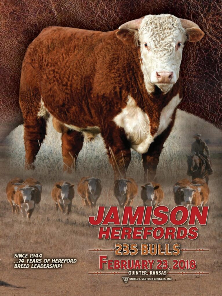 Jamison Herefords - 2018 Bull Sale