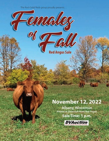 Jane Adolph Designs - 2022 Fall Johnson Family Cattle Sale
