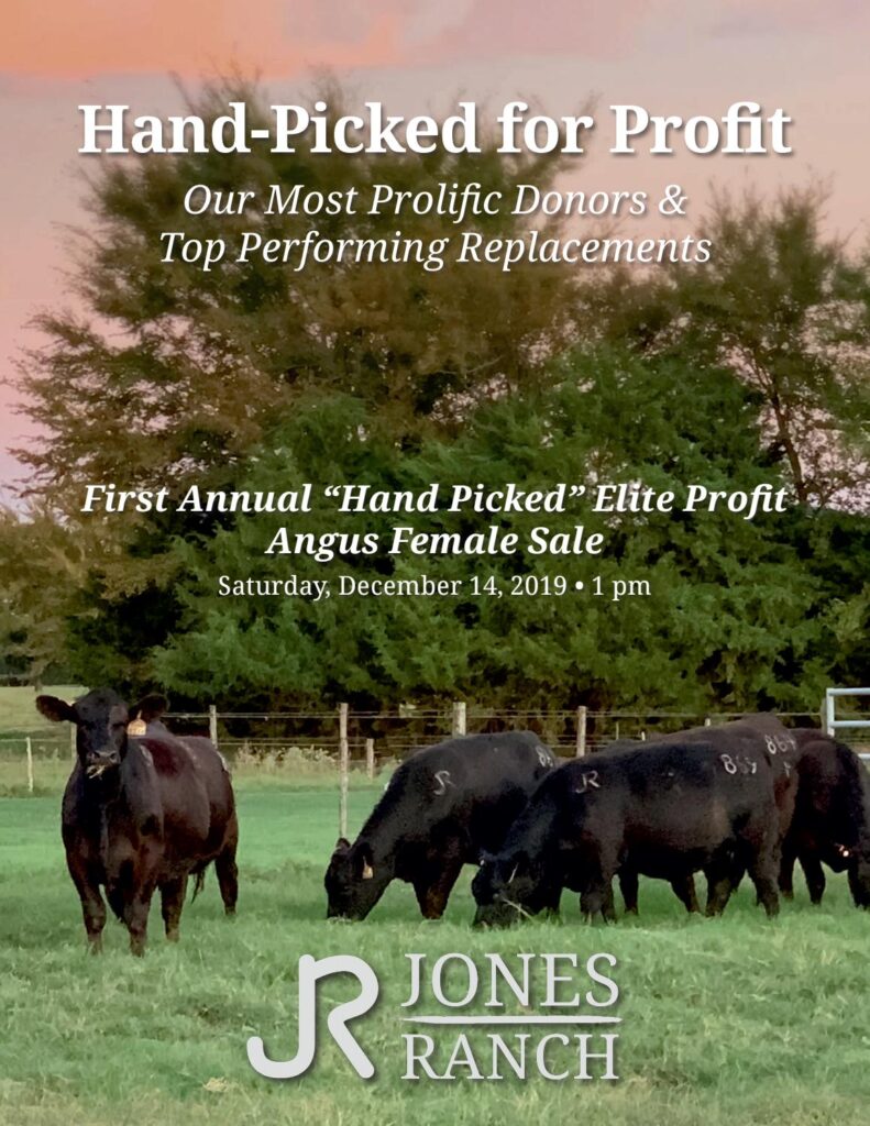 Jones Ranch - 2019 Fall Sale