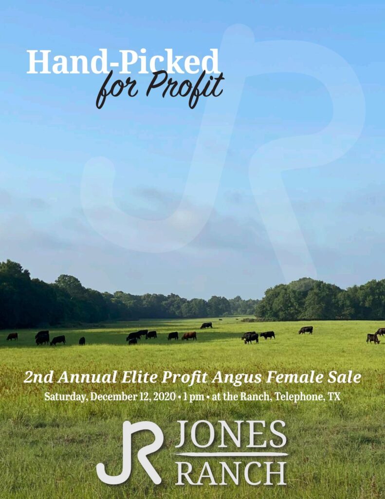 Jones Ranch - 2020 Fall Sale