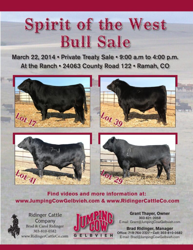 Jumping Cow Gelbvieh - 2014 Spirit on the West Bull Sale