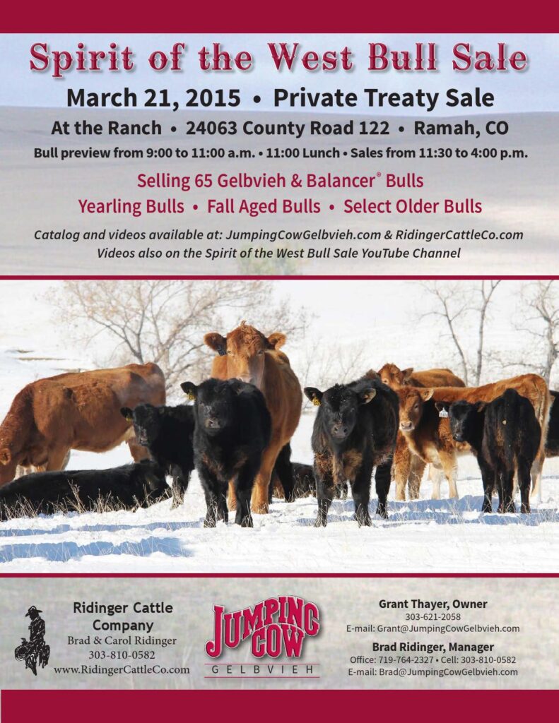 Jumping Cow Gelbvieh - 2015 Spirit on the West Bull Sale