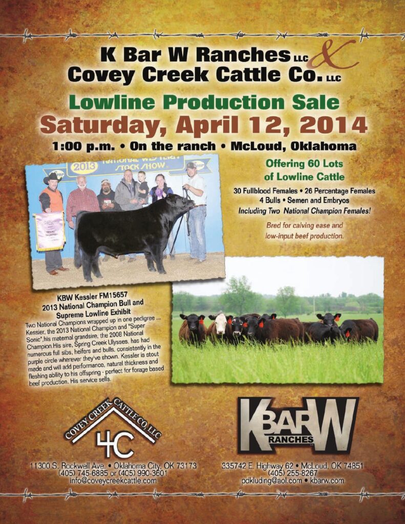 K Bar W Ranches - 2014 Lowline Production Sale