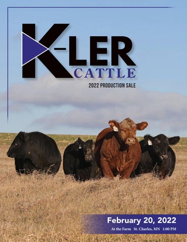K-LER Cattle Co - Spring Sale