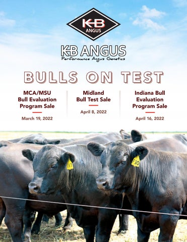 KB Angus 2022 Spring Sale