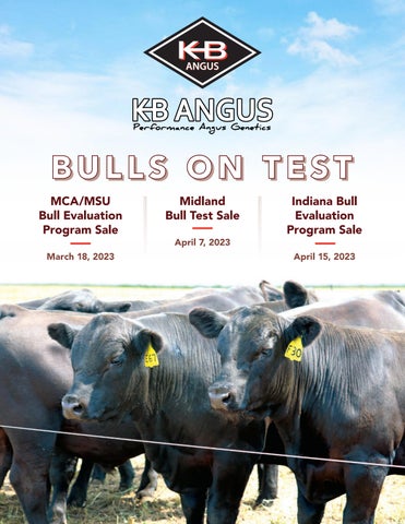 KB Angus 2023 Spring Sale