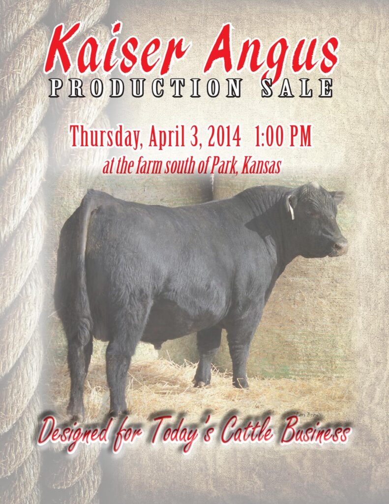 Kaiser Angus - 2014 Production Sale