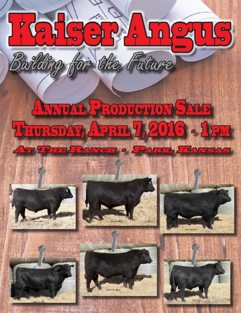 Kaiser Angus - 2016 Production Sale