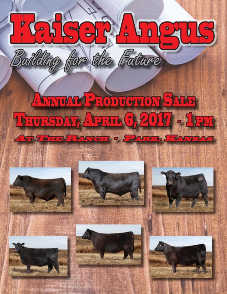 Kaiser Angus - 2017 Production Sale