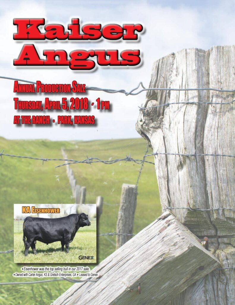 Kaiser Angus - 2018 Bull Sale