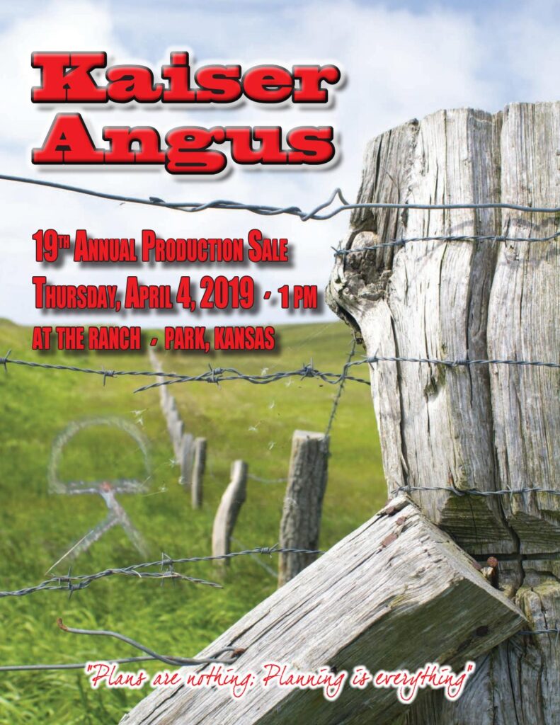 Kaiser Angus - 2019 Bull Sale