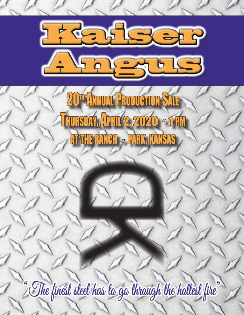 Kaiser Angus - 2020 Bull Sale