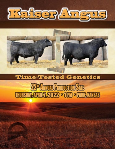 Kaiser Angus - 2022 Spring Bull Sale