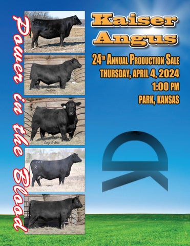 Kaiser Angus 24th Annual Production Sale