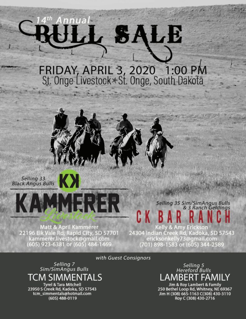 Kammerer Cattle Livestock - 2020 Sale