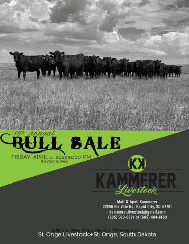 Kammerer Cattle Livestock - 2022 Spring Sale
