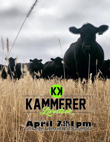 Kammerer Cattle Livestock - 2023 Spring Sale