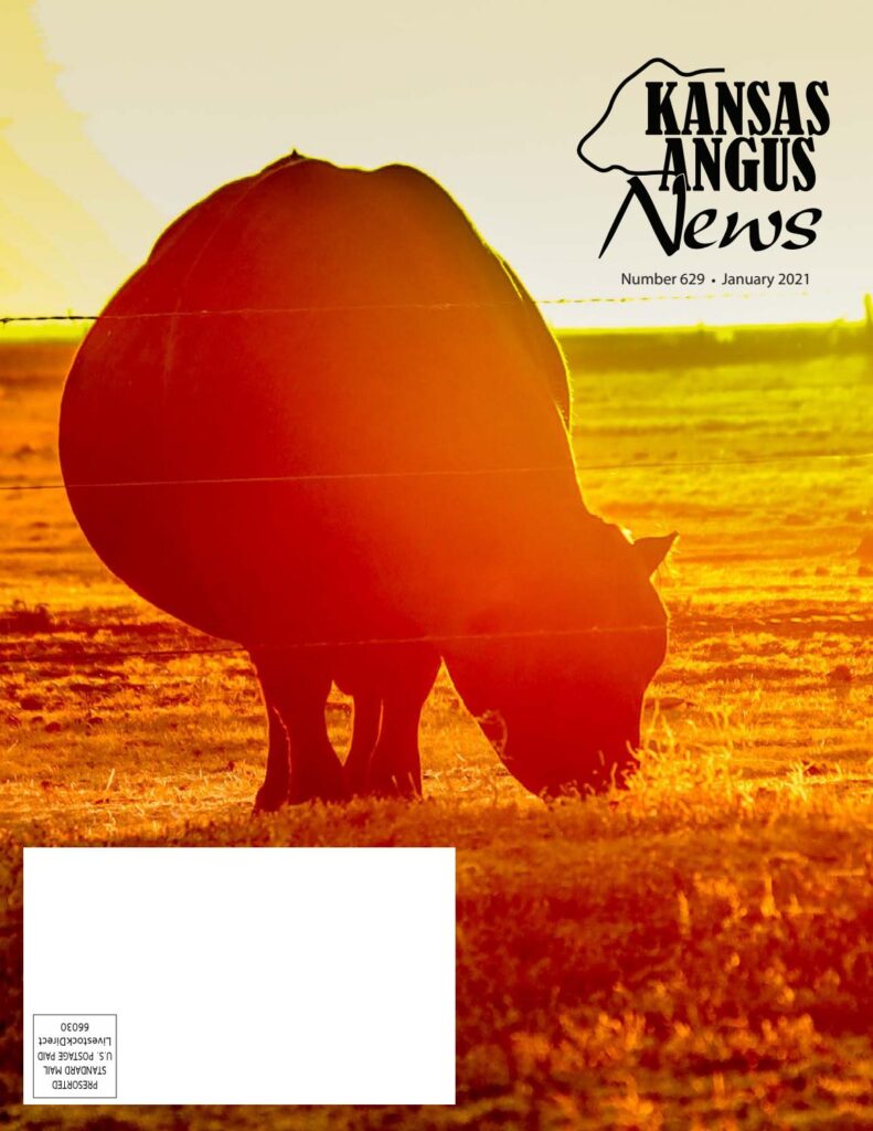 Kansas Angus News - 2021 January