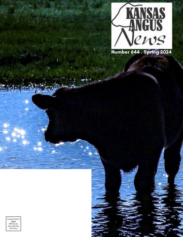 Kansas Angus News - 2024 Spring