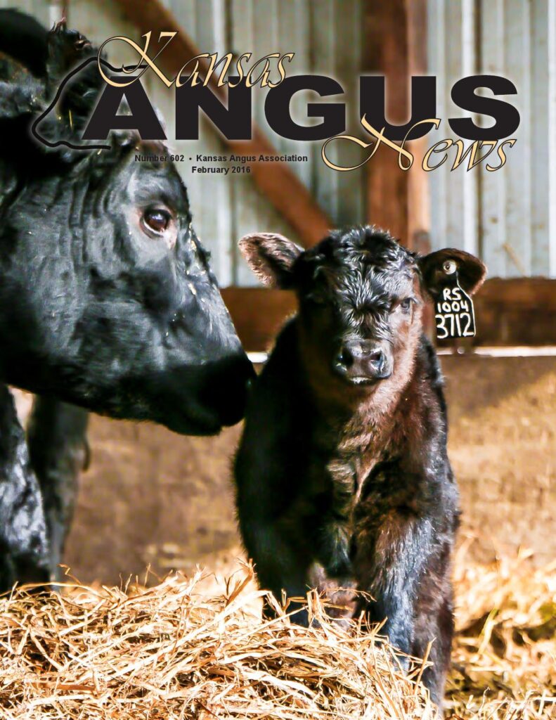 Kansas Angus News - February 2016