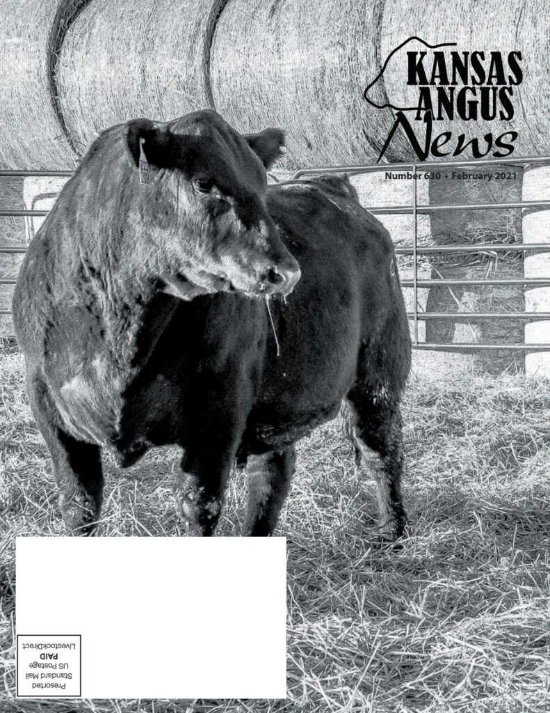 Kansas Angus News - February 2021