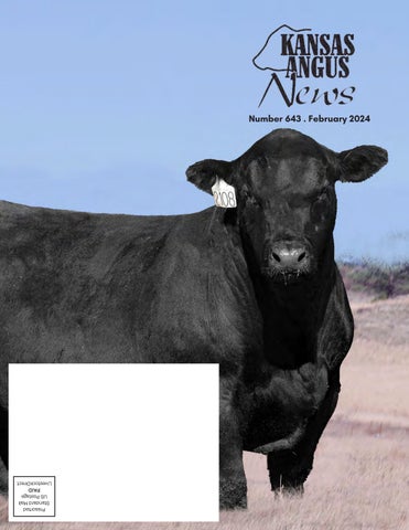 Kansas Angus News February 2024