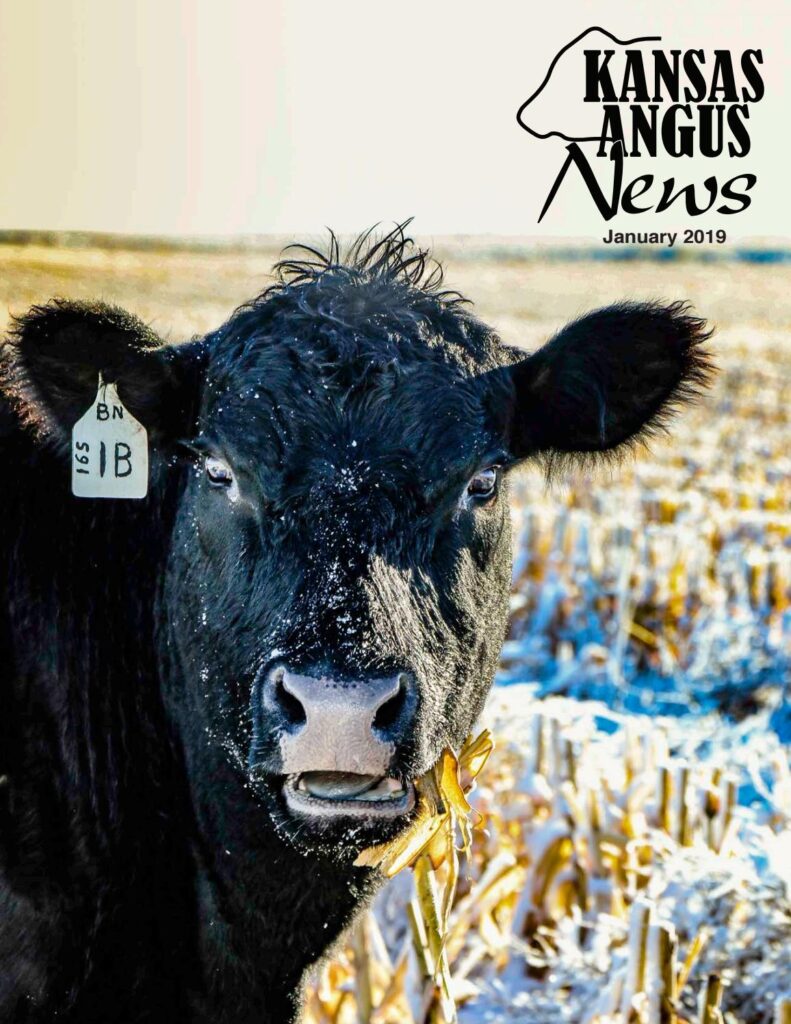 Kansas Angus News - January 2019