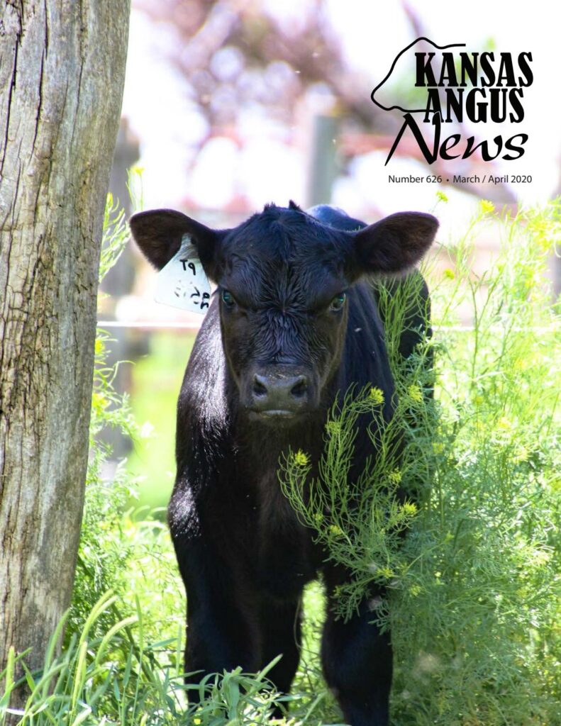 Kansas Angus News - March/April 2020