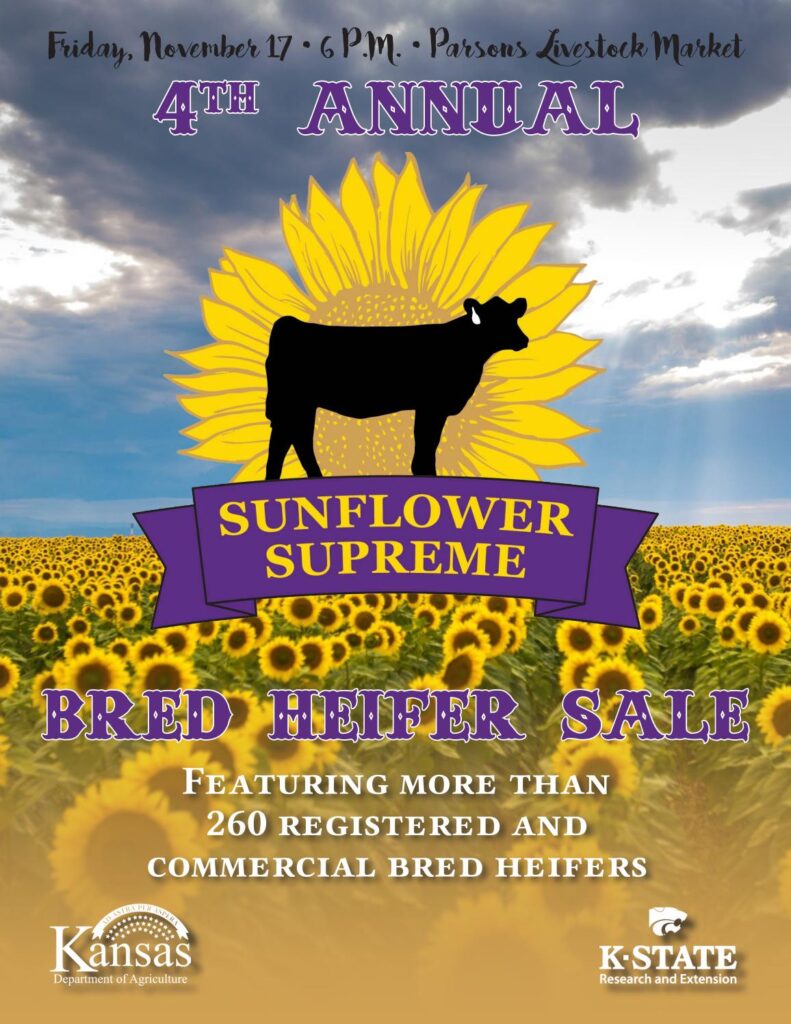 Kansas Sunflower Supreme - November 2017 Bred Heifer Sale