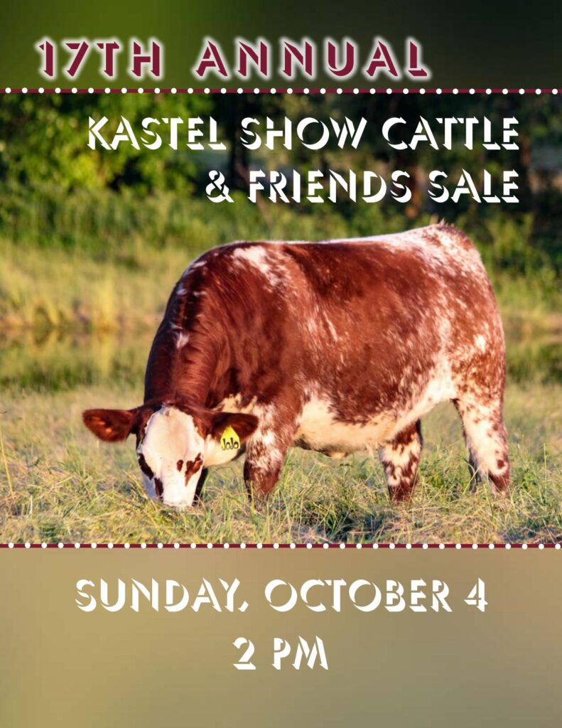 Kastel Show Cattle - 2020 Fall Sale