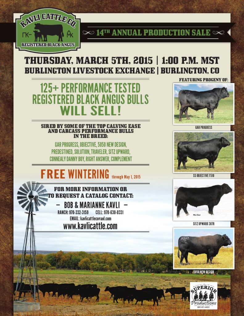 Kavli Cattle Company - 14th Annual Production Sale