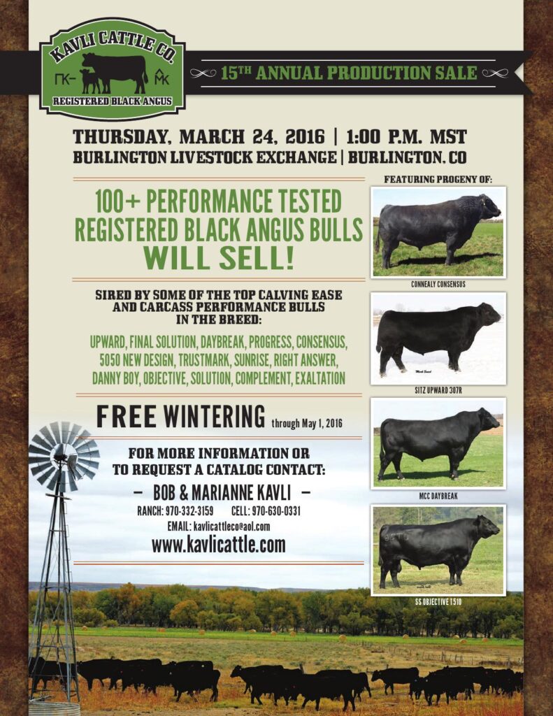 Kavli Cattle Company - 15th Annual Production Sale