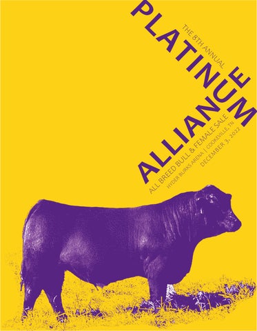 Kemmer Auctioneers - Platinum Alliance All Breed Bull & Female Sale