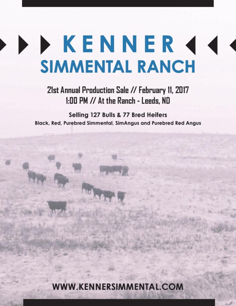Kenner Simmental Ranch - 2017 Production Sale