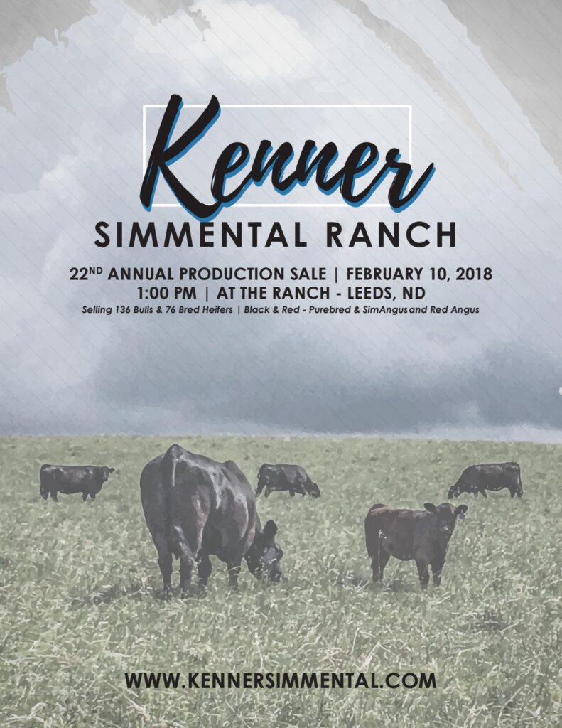Kenner Simmental Ranch - 2018 Production Sale