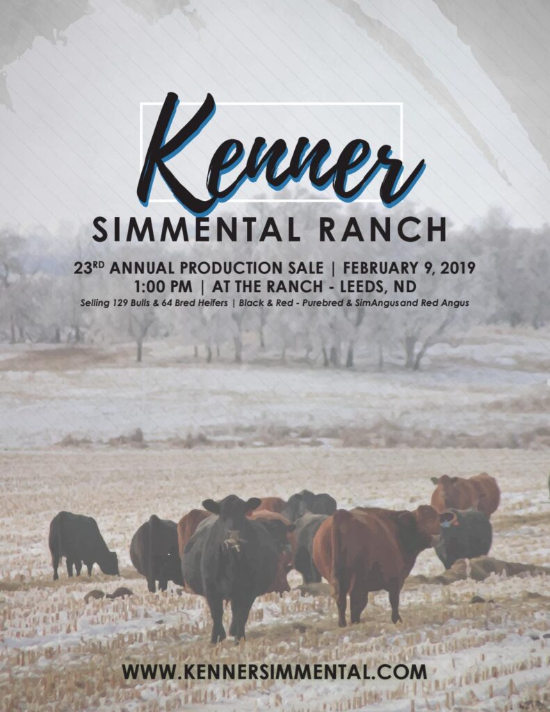 Kenner Simmental Ranch - 2019 Production Sale