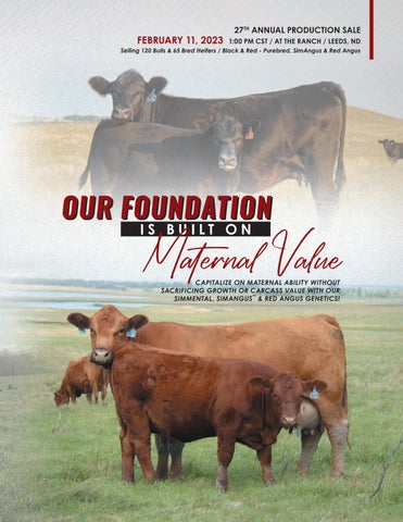 Kenner Simmental Ranch - 2023 Spring Production Sale