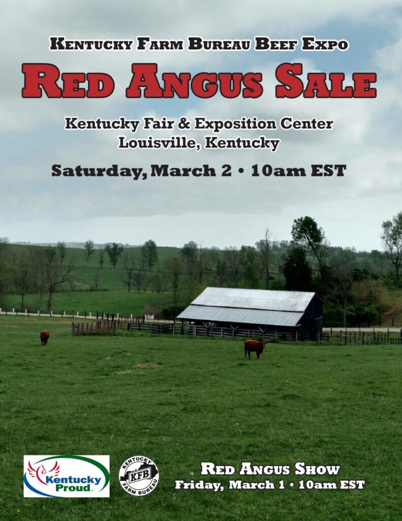Kentucky Beef Expo - 2019 Sale